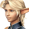 Avatars-FF11-FFFury (10).gif